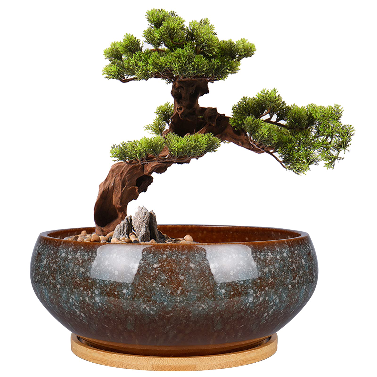 EPFamily 8-inch ceramic bonsai planter in green with drainage hole for tidy watering.