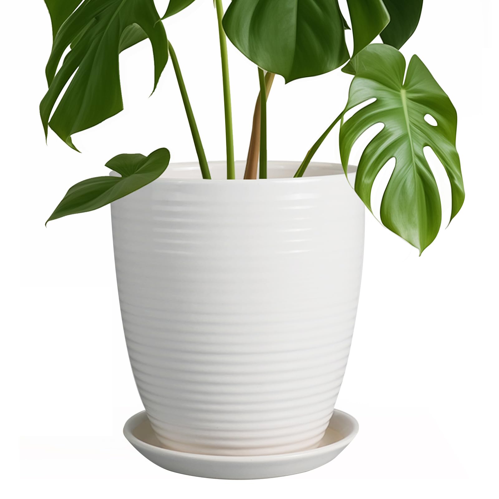 EPFamily 8-Inch ceramic planter with white glaze and saucer for indoor decor.