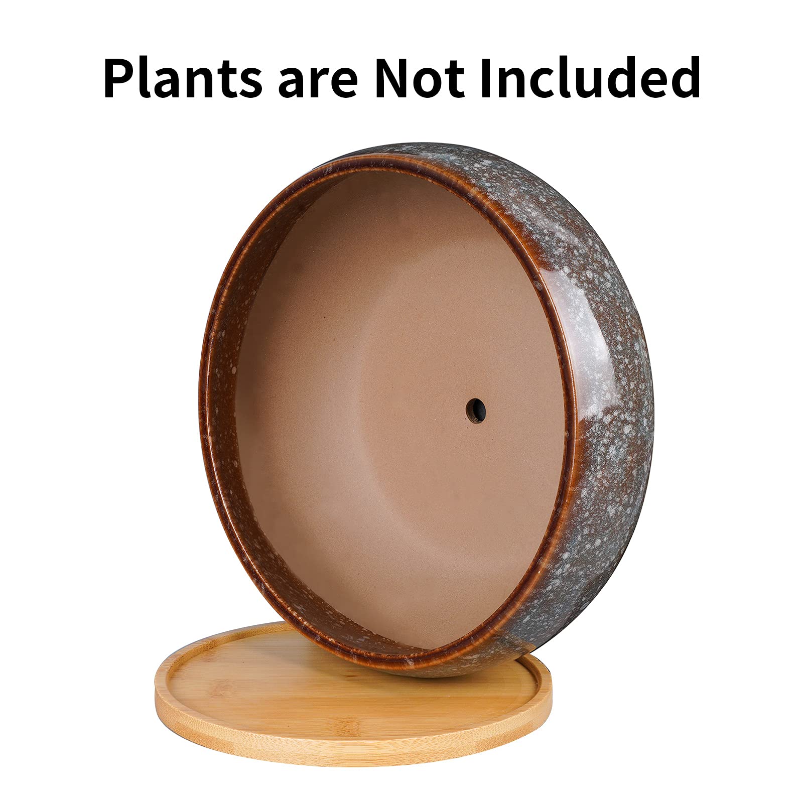EPFamily bamboo saucer included to protect surfaces and catch excess moisture.