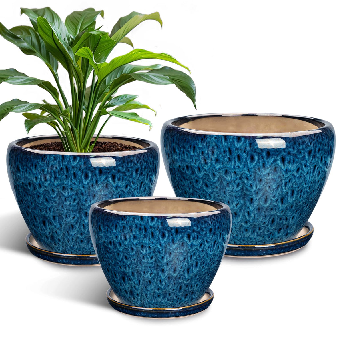 EPFamily blue ceramic planters 6-inch diameter showing drainage holes for healthy roots