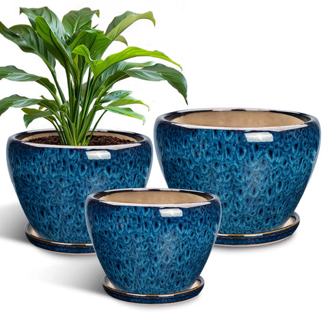 EPFamily blue ceramic planters 6-inch diameter showing drainage holes for healthy roots
