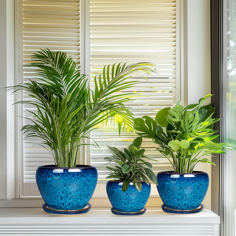EPFamily blue ceramic planters styled in indoor living space setup