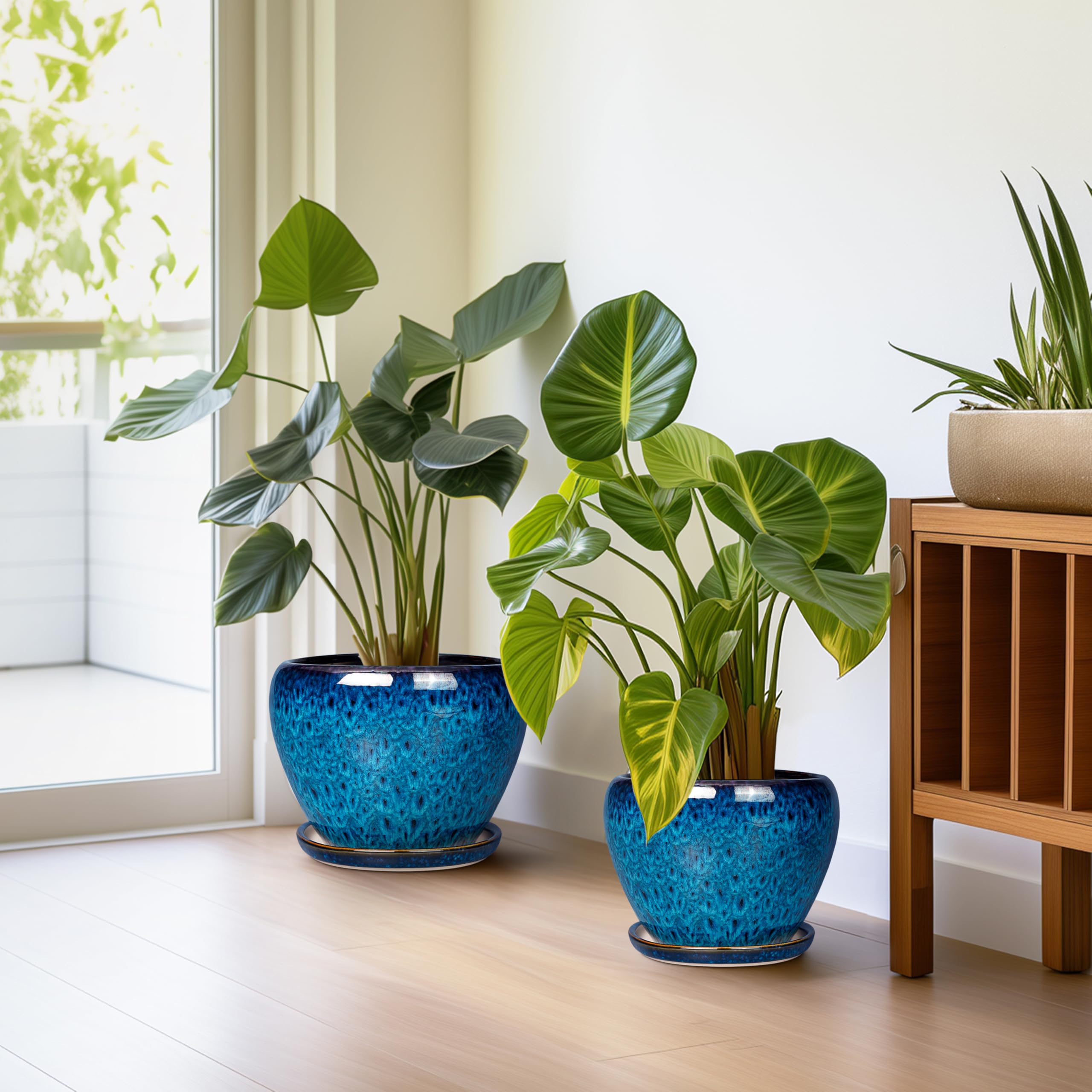 EPFamily blue ceramic planters with saucers arranged together to protect surfaces