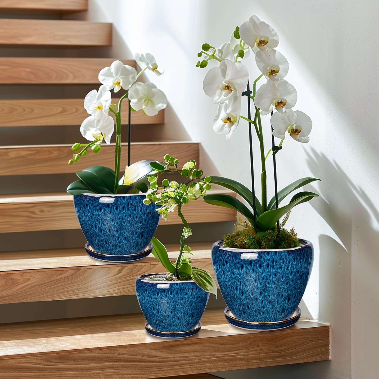 EPFamily blue ceramic planter set displayed as a coordinated home decor focal point