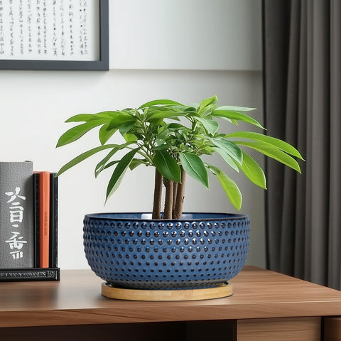 Blue EPFamily planter fits tabletops and balconies for indoor gardening.