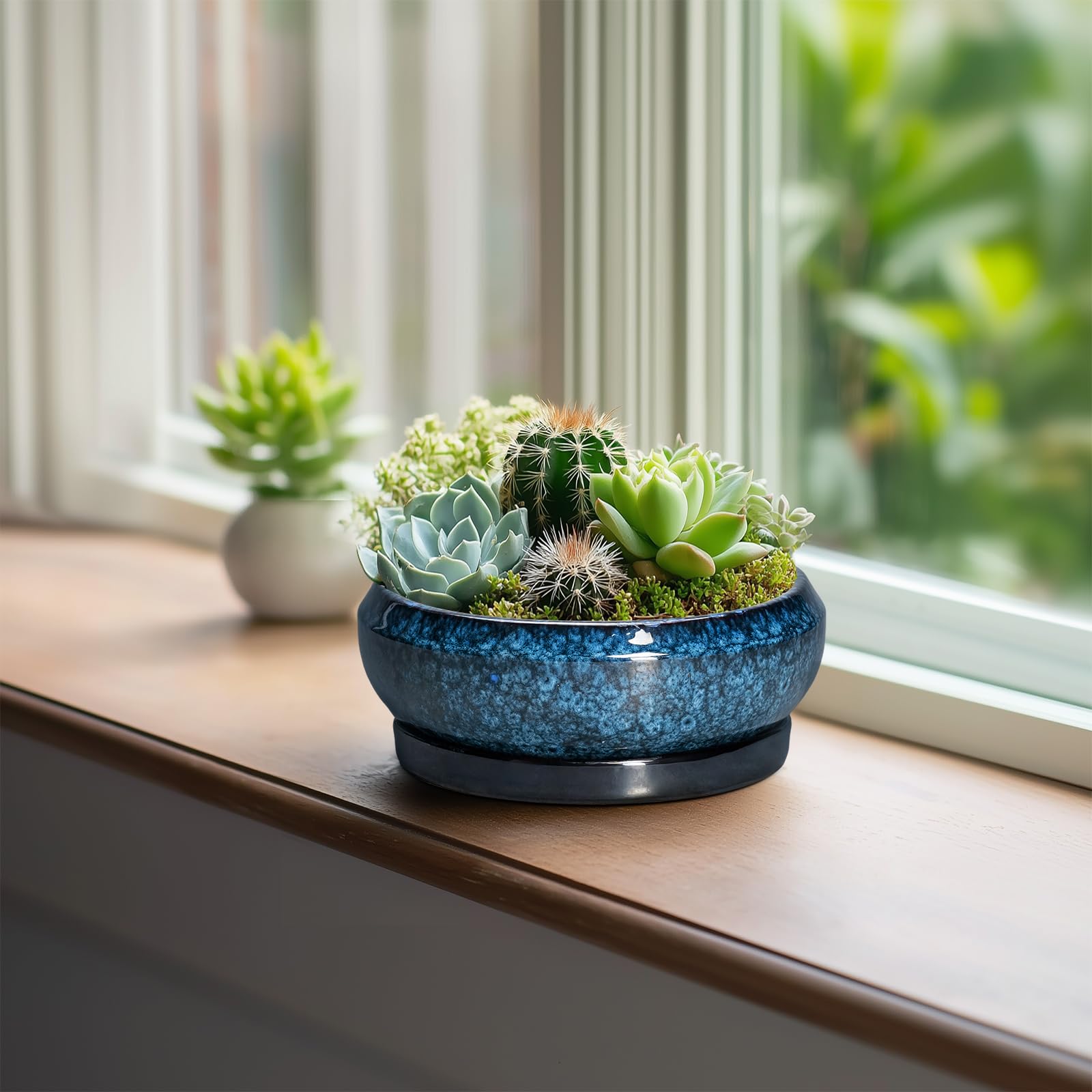 EPFamily blue round planter for indoor and outdoor succulents.
