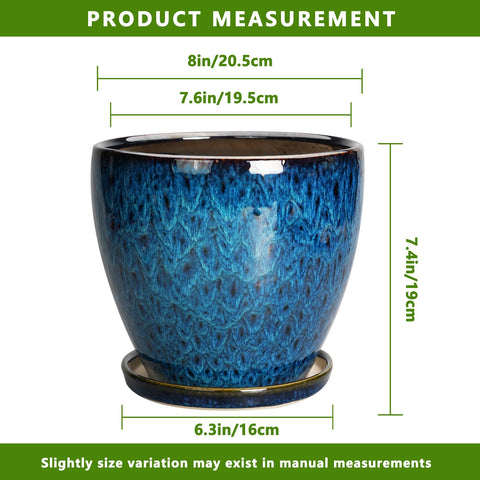 EPFamily bonsai and succulents planter in blue glaze for stylish displays