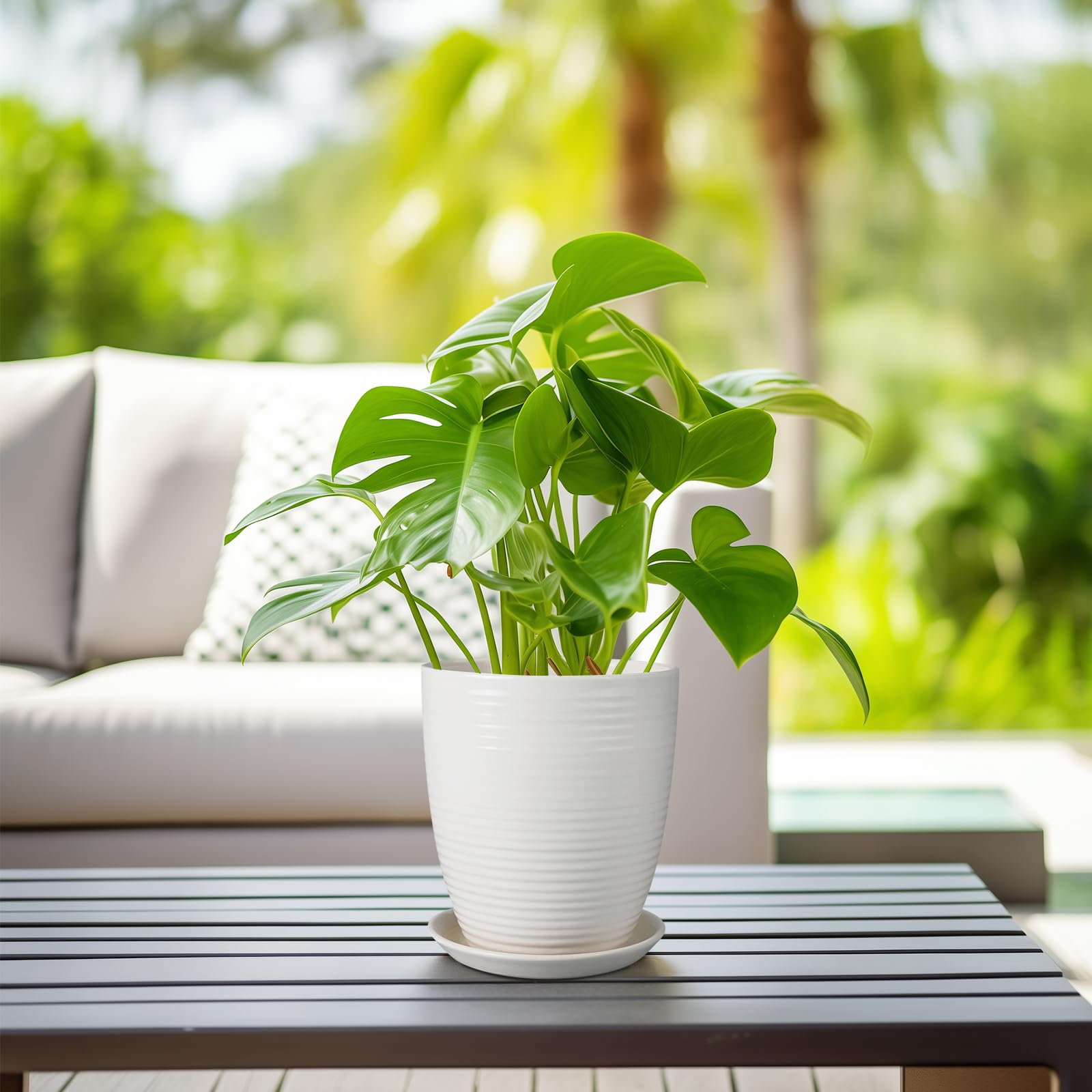 EPFamily 8-inch planter ideal for bonsai, herbs, and succulents.