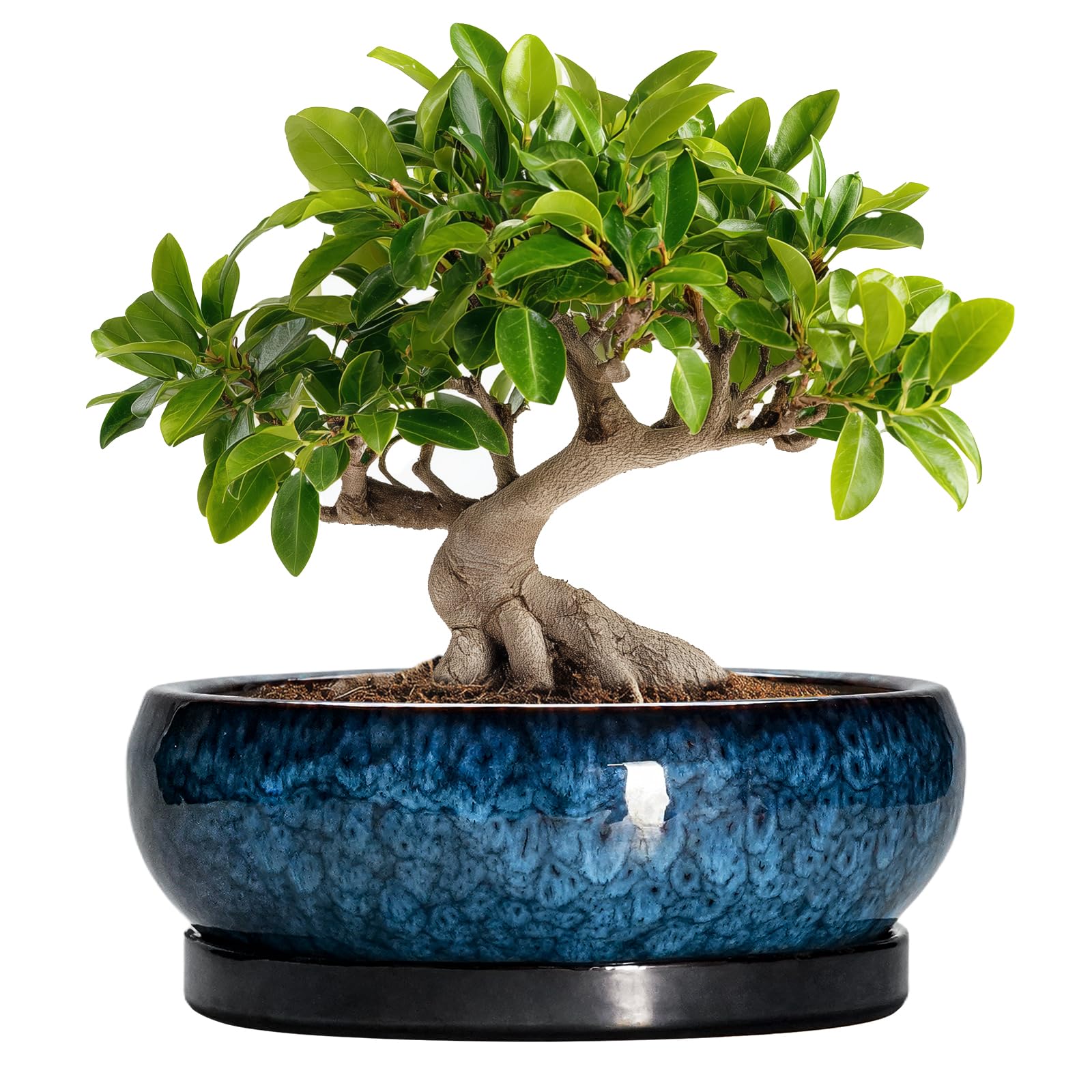 EPFamily bonsai pot ceramic blue glaze for elegant indoor display and drainage