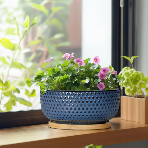 Blue ceramic pot on a windowsill complements modern home decor.