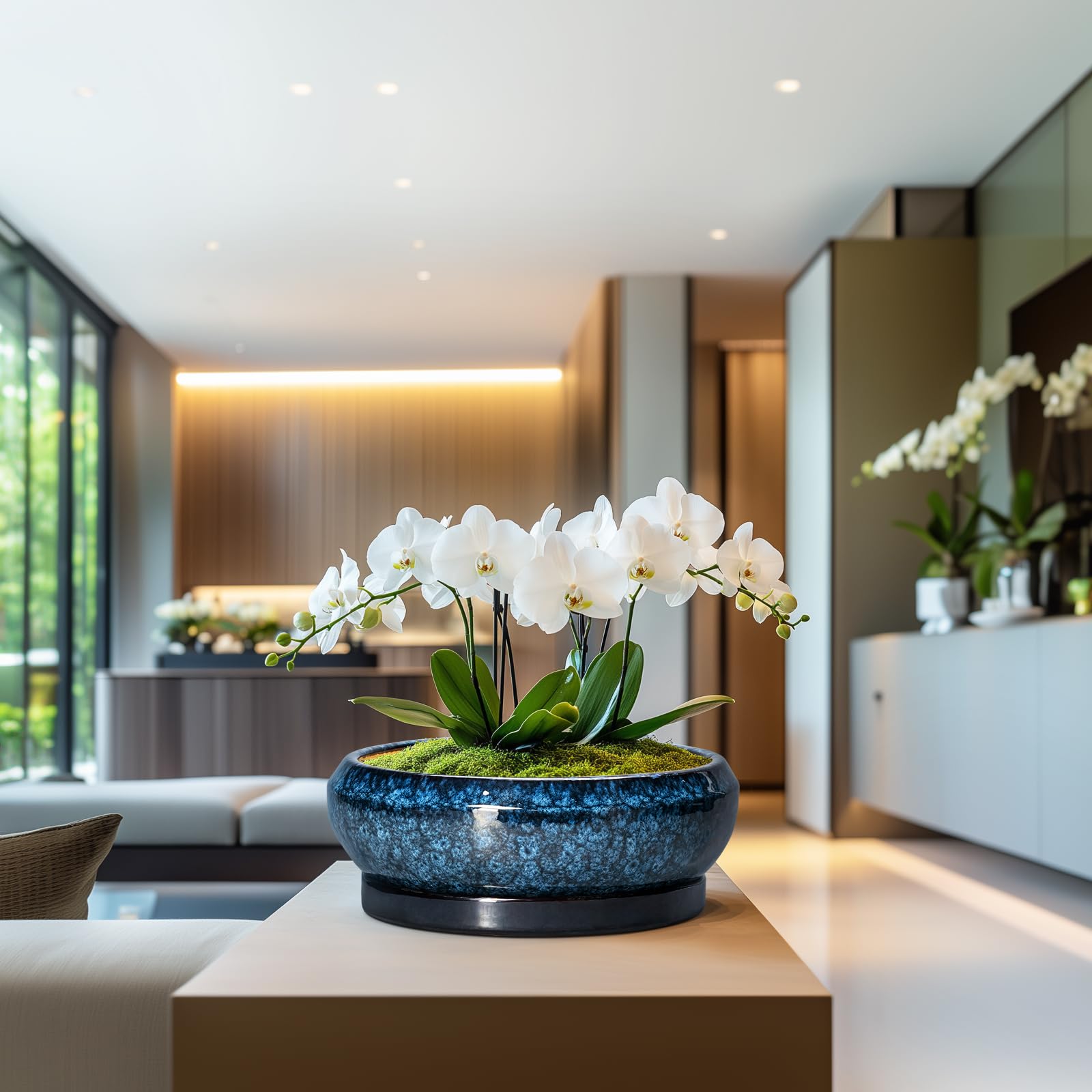 EPFamily blue ceramic pot interior is roomy for larger succulents and bonsai.