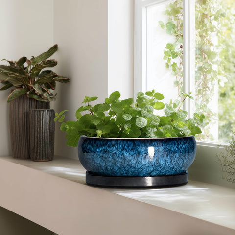 EPFamily blue bonsai pot set for versatile indoor or patio garden displays.