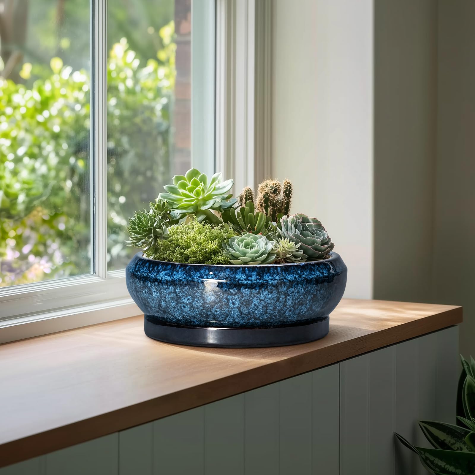 EPFamily Bonsai Pots blue top opening gives easy placement for various greenery.