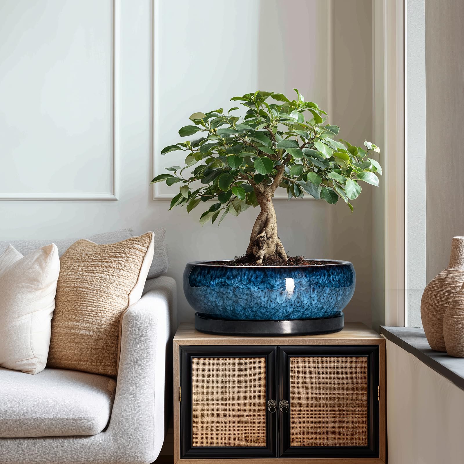 EPFamily blue planters pair beautifully with small trees to elevate home decor.