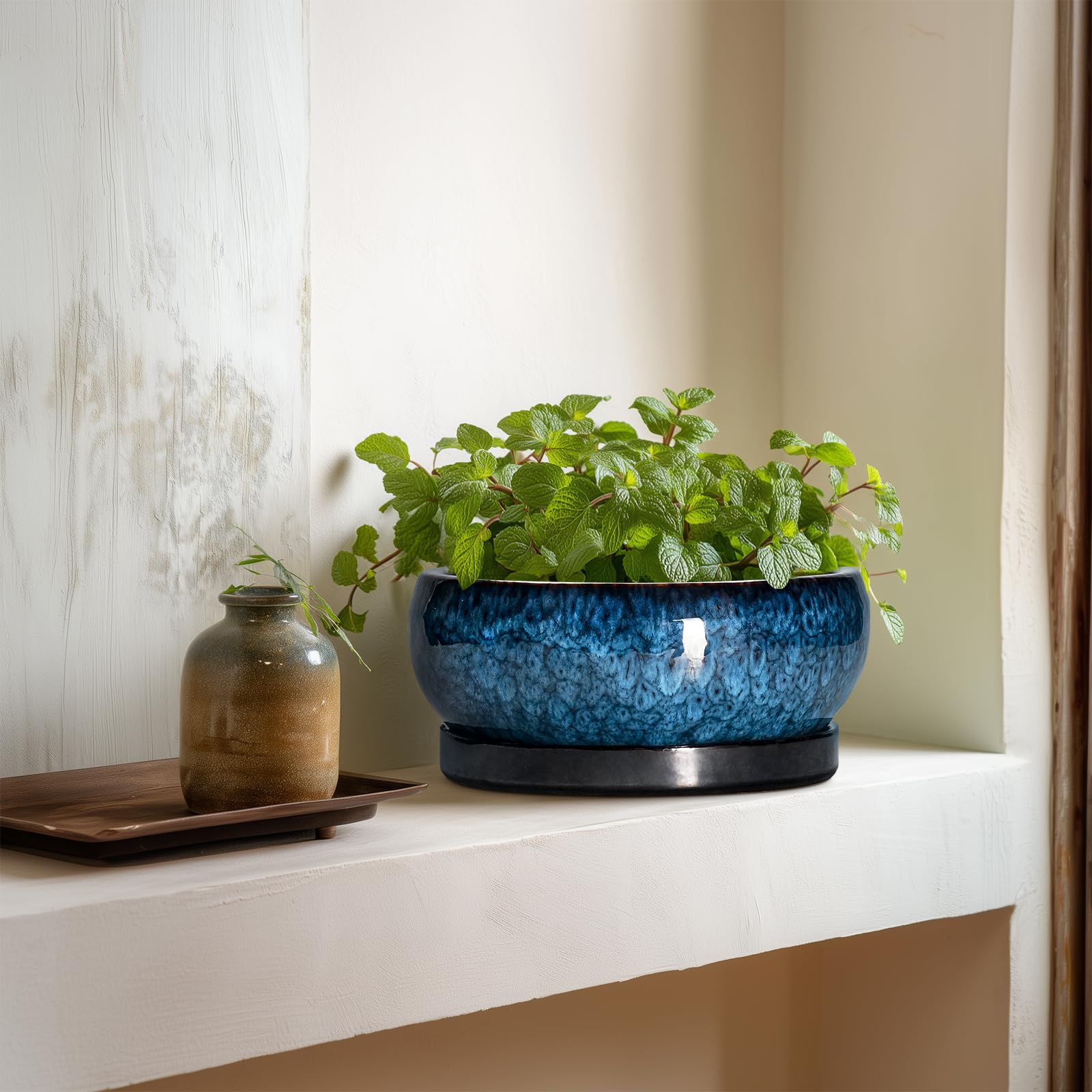 Great gift choice for plant lovers and home decor enthusiasts.