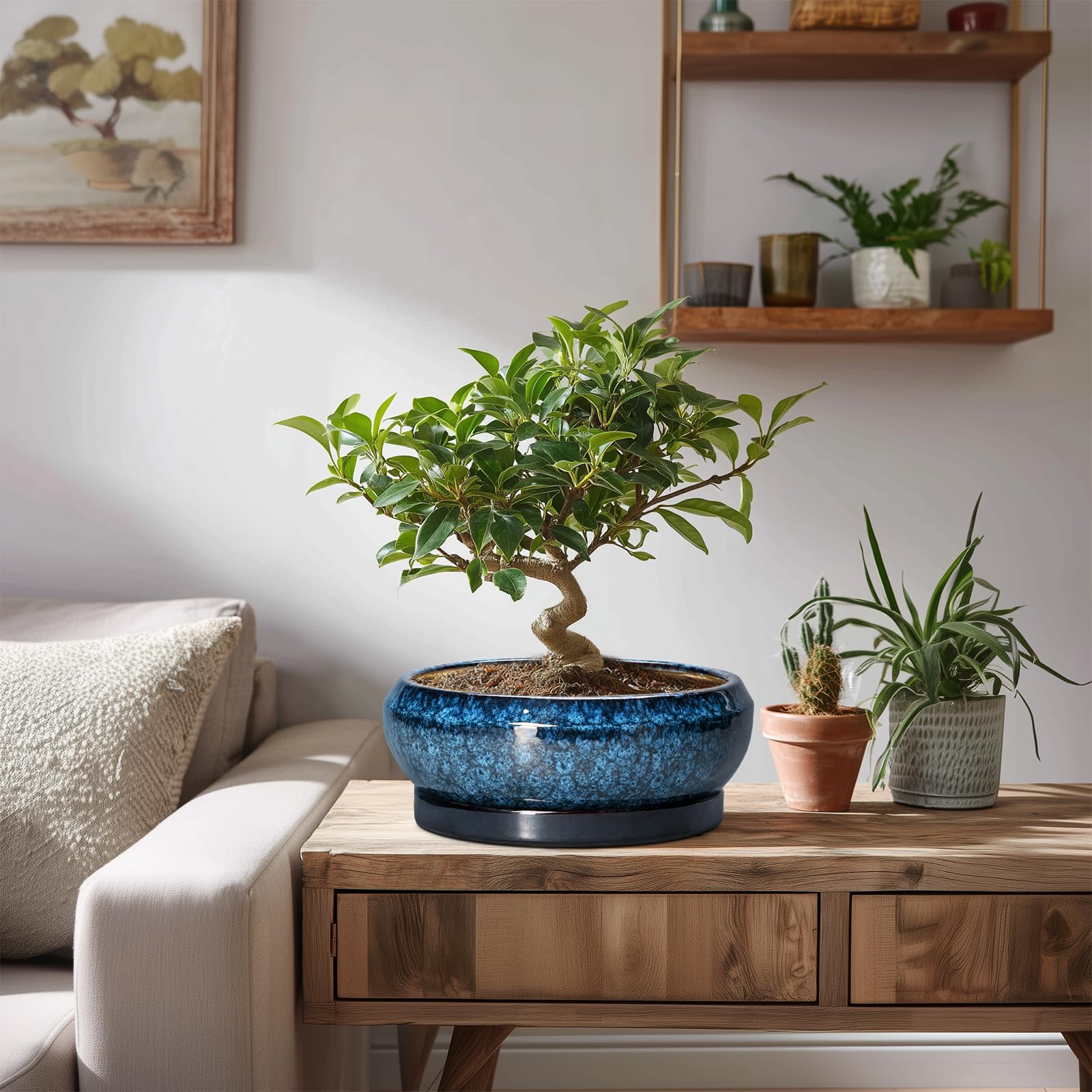 Blue color complements modern interiors, patios, and balcony spaces.