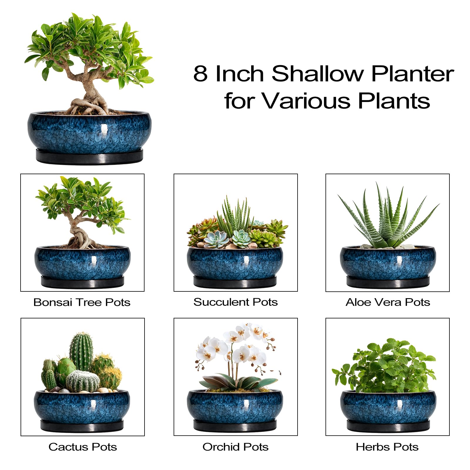 Includes support for versatile indoor-outdoor arrangements and seasonal displays.