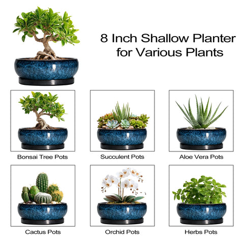 Includes support for versatile indoor-outdoor arrangements and seasonal displays.