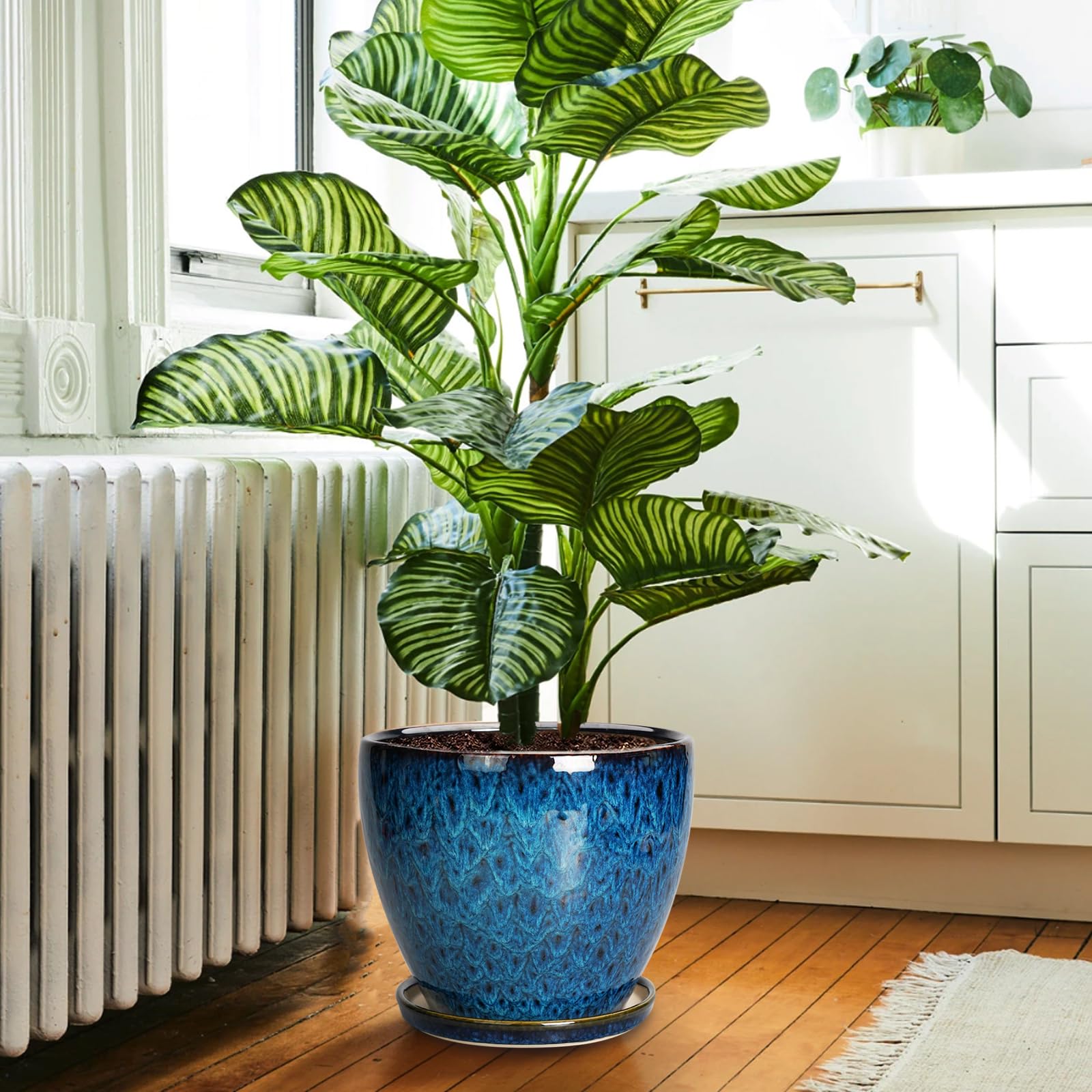 EPFamily ceramic planter with drainage holes and saucer to prevent overwatering.