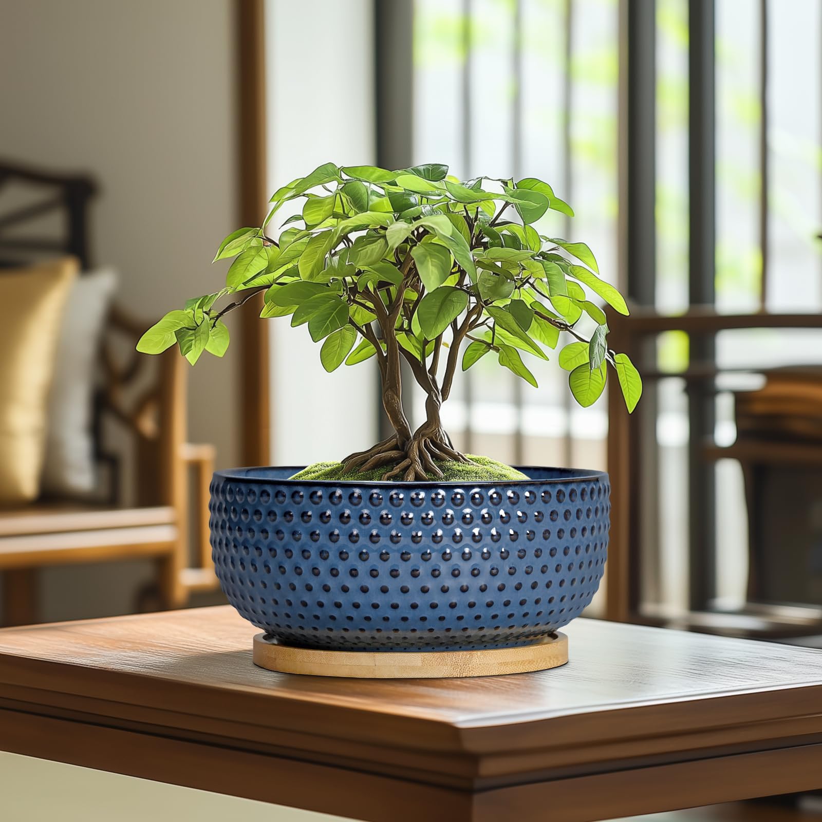 Blue EPFamily ceramic planter showing drainage hole and saucer for moisture control.