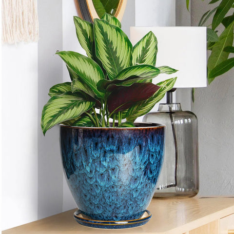 EPFamily blue glaze enhances decor while providing sturdy ceramic construction.