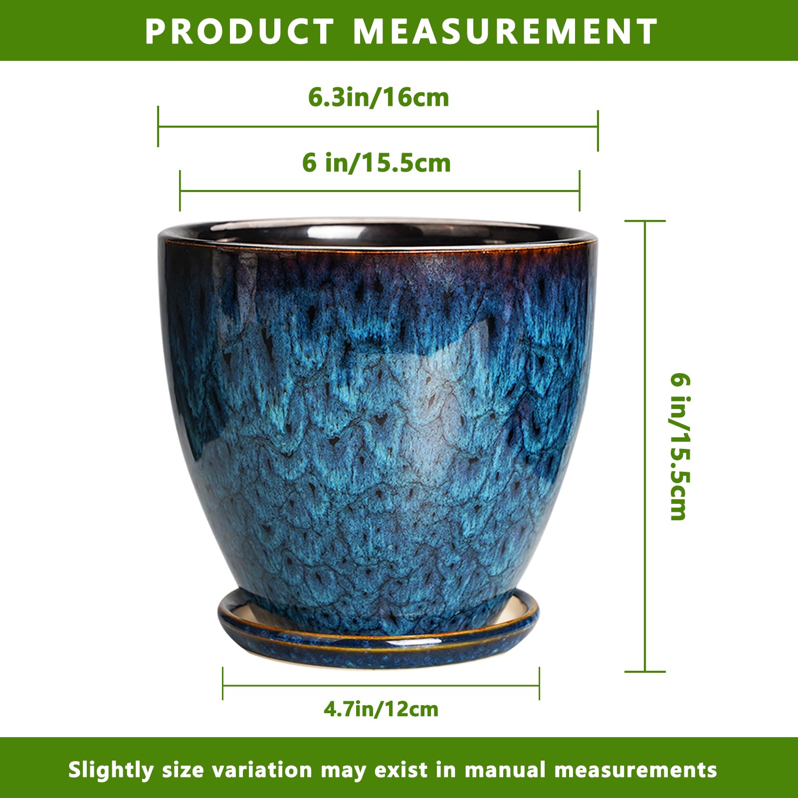 EPFamily bonsai and succulents look great in this round blue planter.