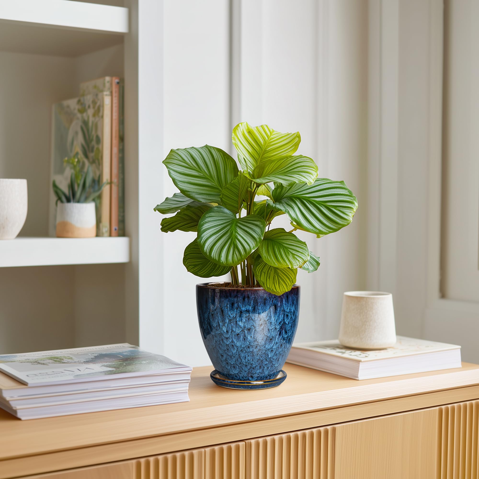 EPFamily blue ceramic pot suitable for indoor and outdoor spaces.