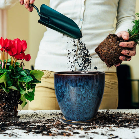 EPFamily ceramic pot and saucer keep surfaces tidy while watering.