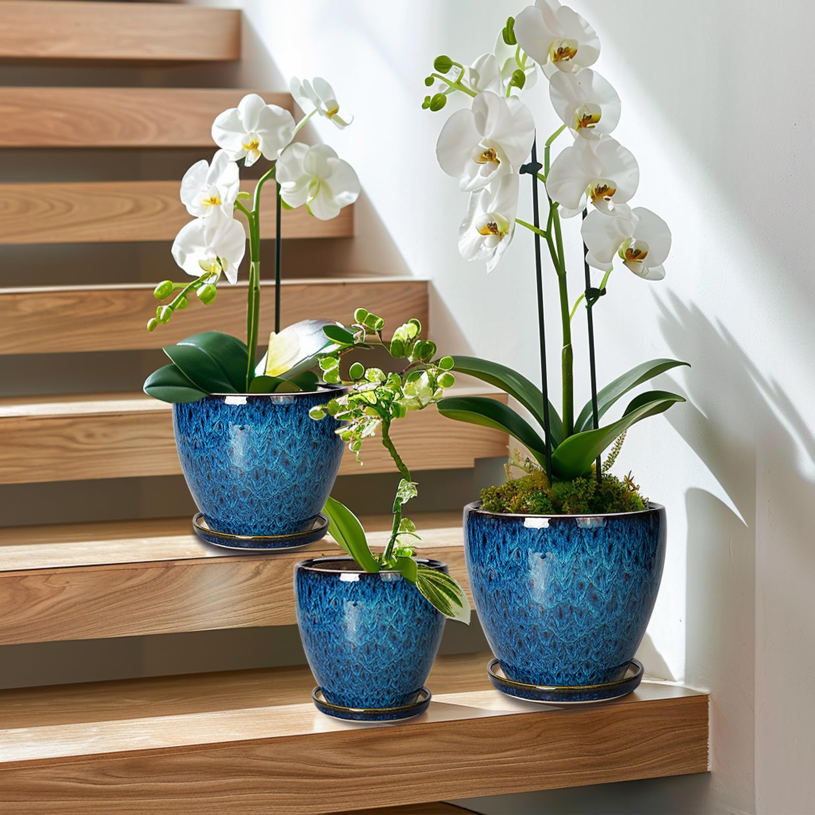 EPFamily six-inch diameter pot offers ample root space for small plants.