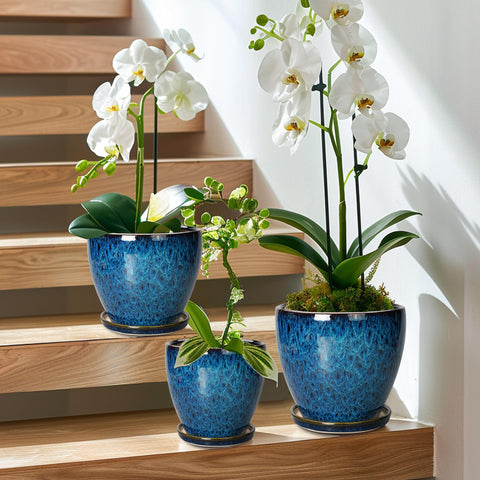 EPFamily drainage-hole pot with saucer protecting surfaces and promoting drainage.