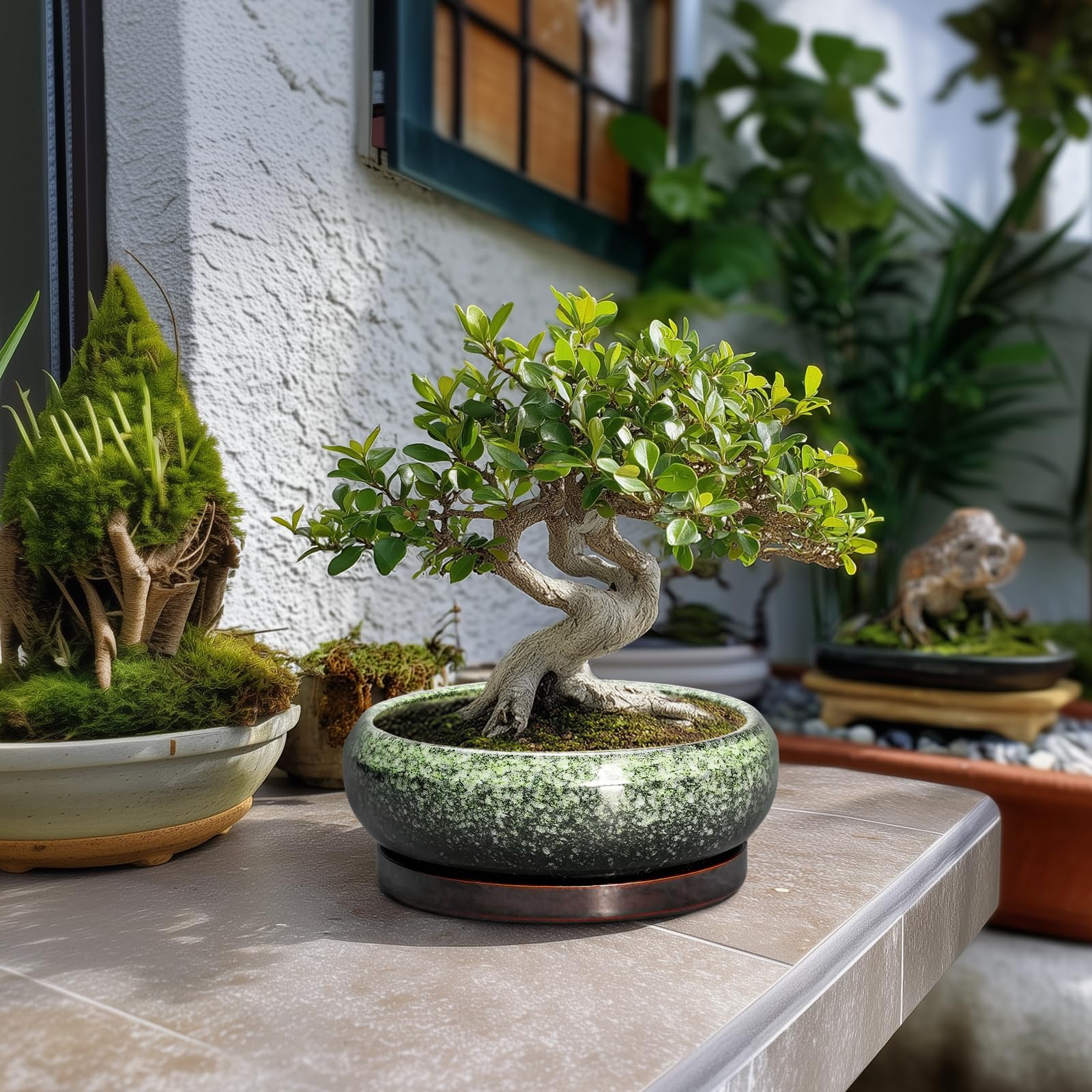 EPFamily ceramic saucer tray keeps surfaces clean and dry