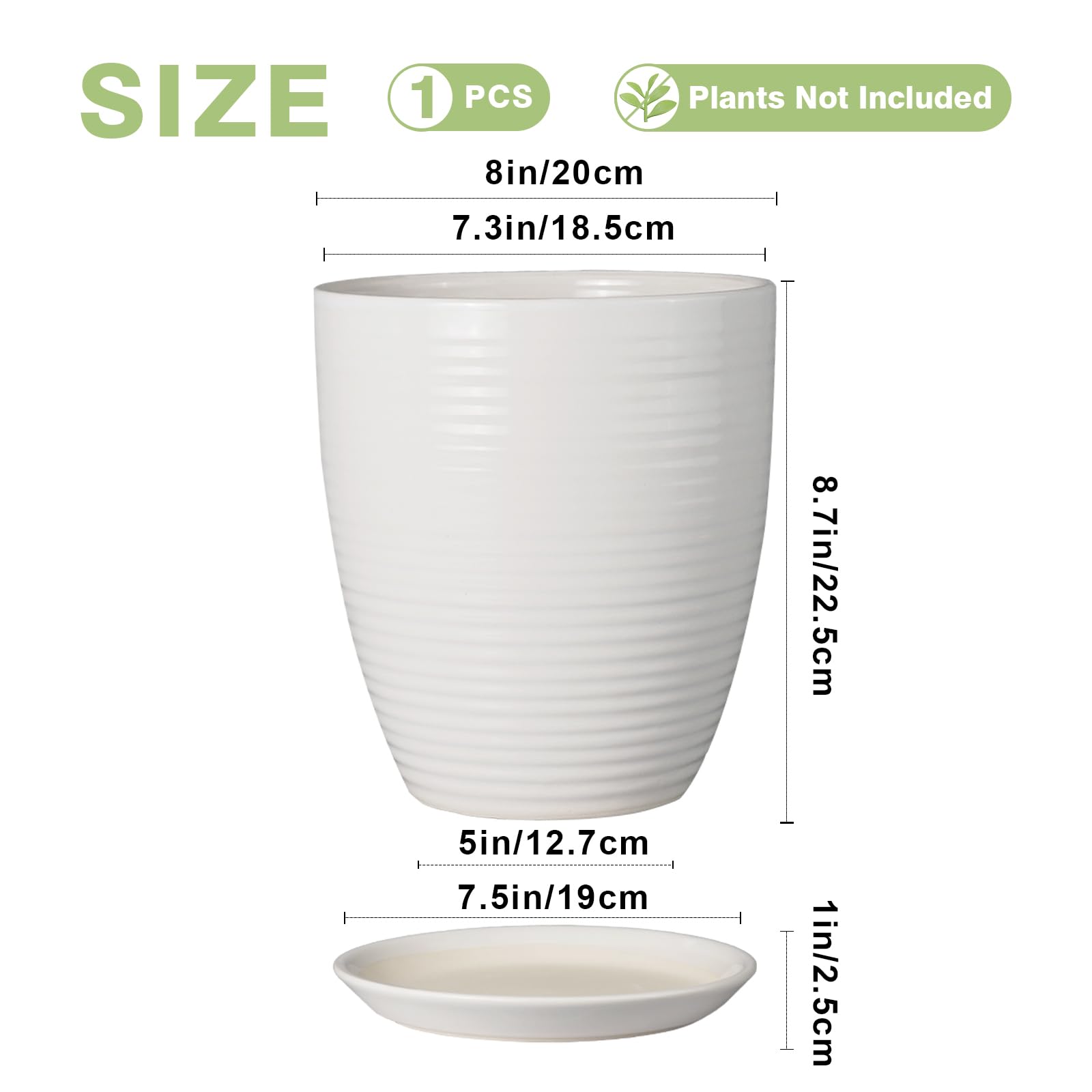 EPFamily ceramic tray and saucer catch water to protect surfaces.