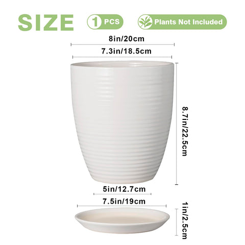 EPFamily ceramic tray and saucer catch water to protect surfaces.