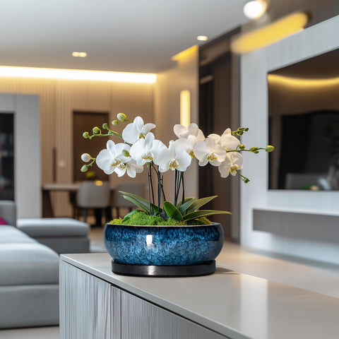 EPFamily blue bonsai pot enhances desk decor with a refined ceramic finish