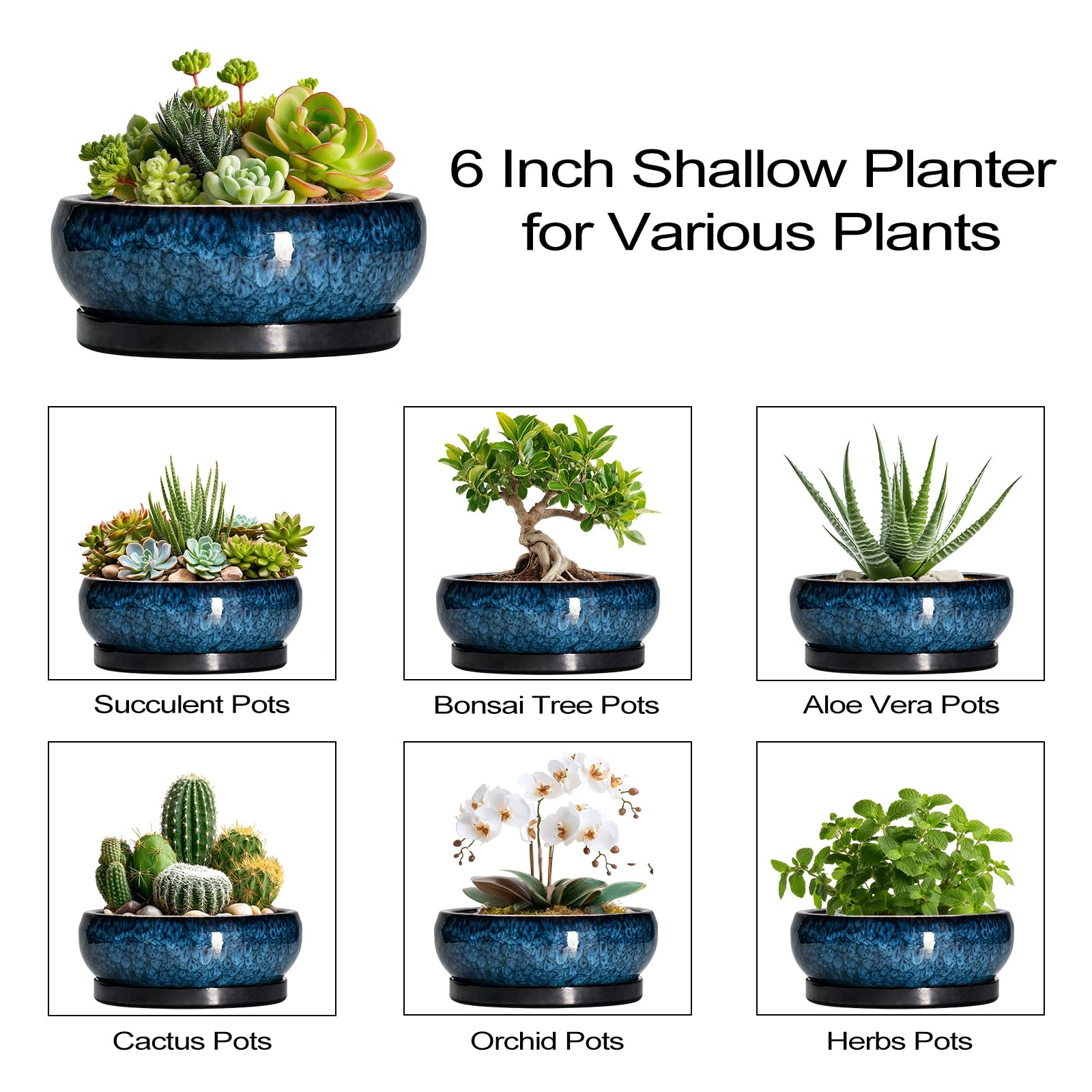 EPFamily planter with drainage features keeps surfaces neat.