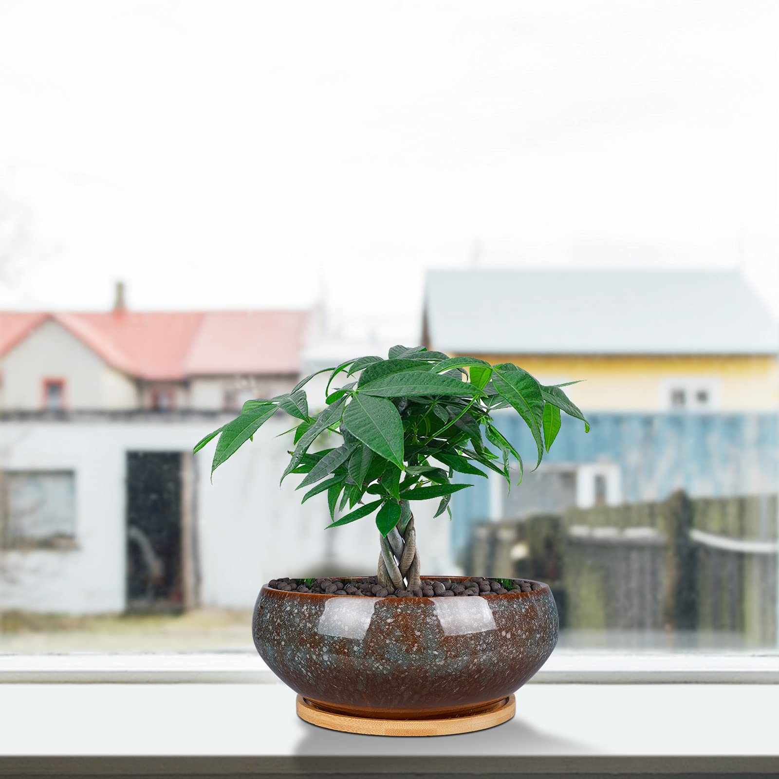 EPFamily durable ceramic bonsai pot, 8 inches, great for small indoor plants.