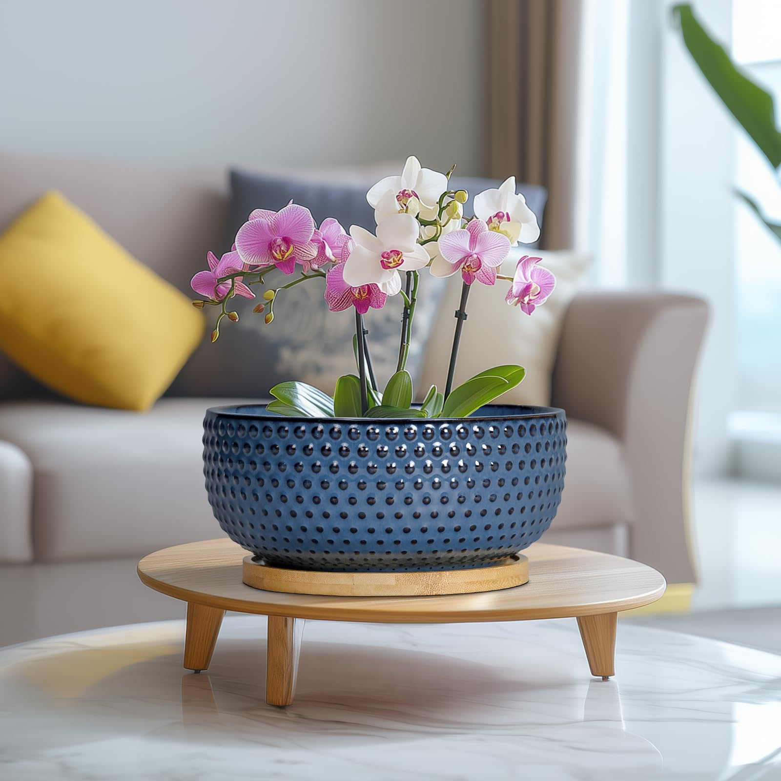 Gift-ready EPFamily blue planter suitable for many occasions.