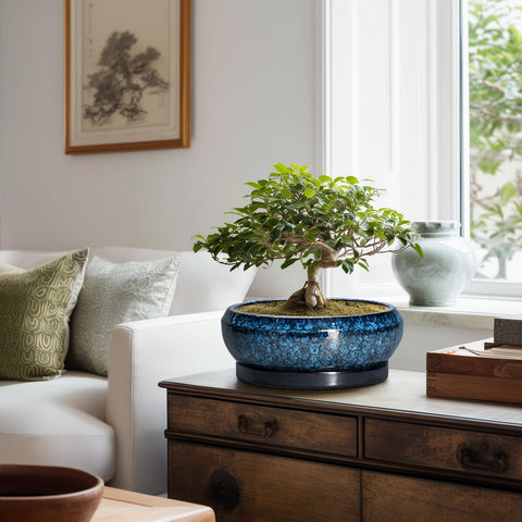 EPFamily gift-ready blue planter for plant lovers and home decor
