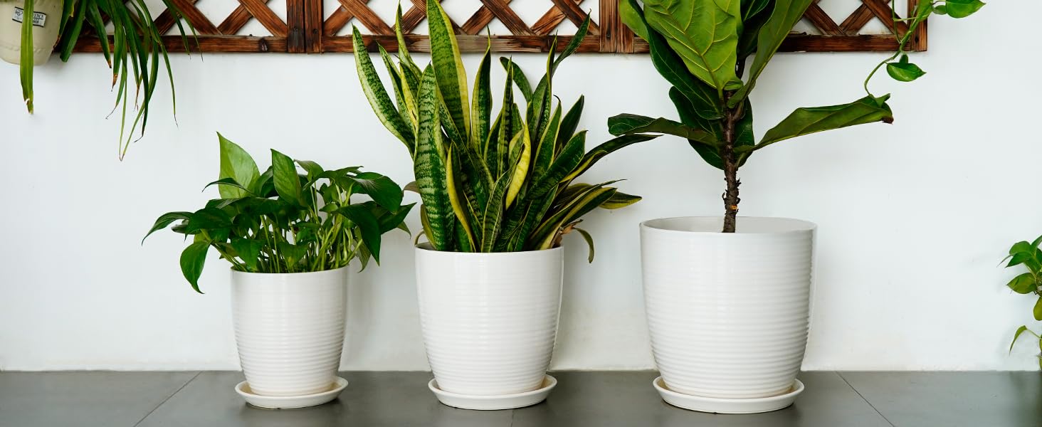 EPFamily gift-ready ceramic planter suitable for plant lovers.