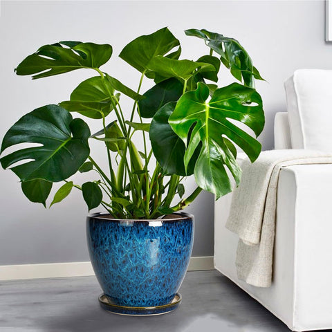 EPFamily gift-ready plant pot for plant lovers and homes.