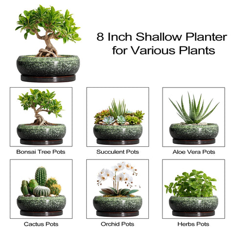 EPFamily gift-ready planter for plant lovers