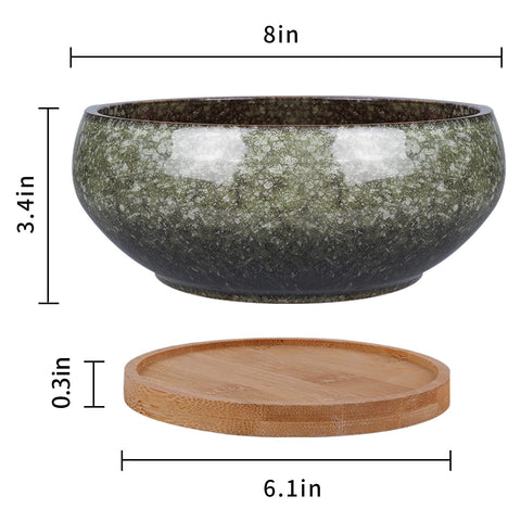 EPFamily glazed succulent planter with a smooth finish for stylish displays.