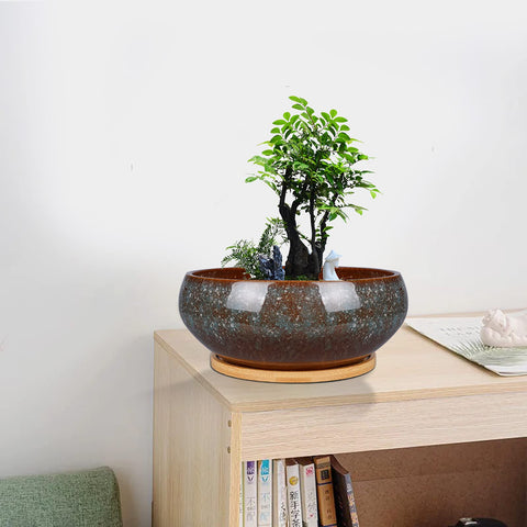 EPFamily handmade round bonsai pot with glaze adds a modern decor touch.