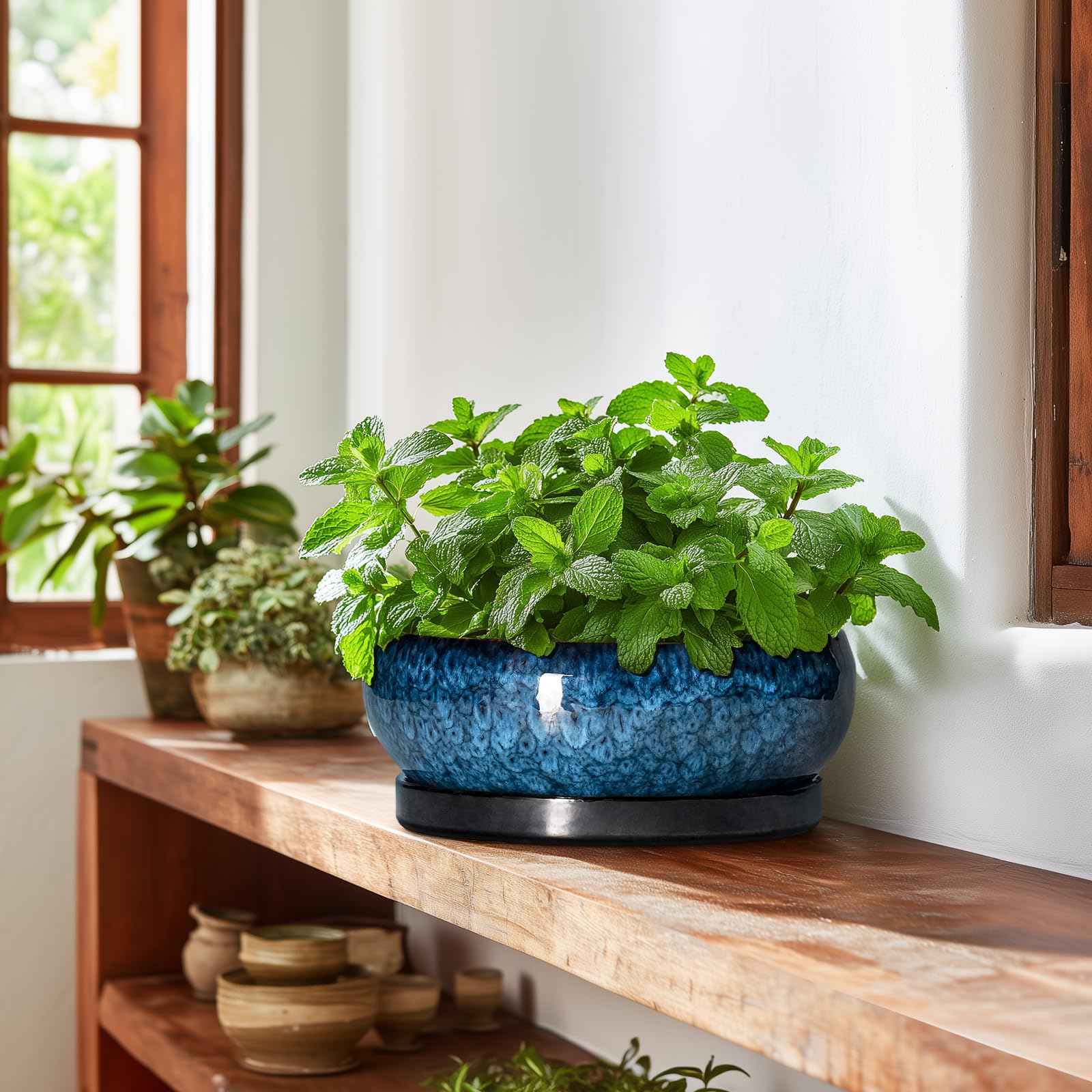 EPFamily indoor-outdoor ceramic planter in blue for versatile spaces