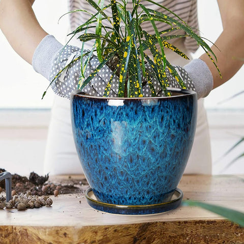 EPFamily indoor-outdoor blue ceramic planter for versatile spaces
