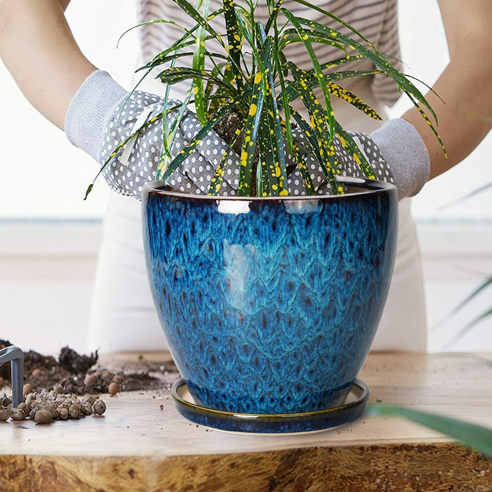 EPFamily large indoor-outdoor planter suitable for monstera and palms.