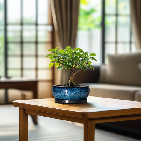 EPFamily office decor blue planter for desks and shelves.
