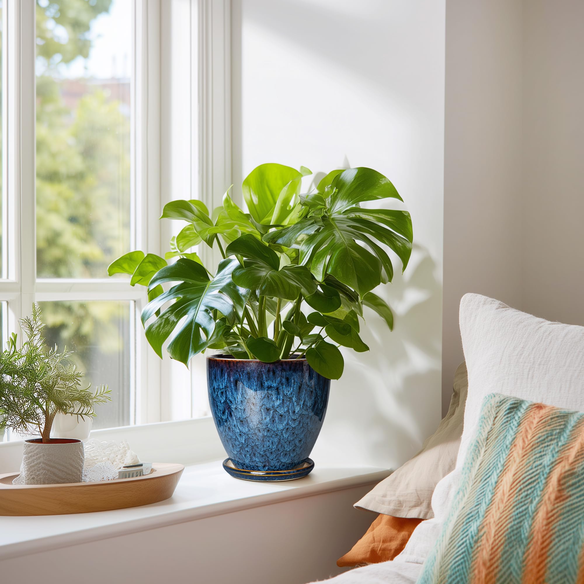 EPFamily plant pot with saucer catches excess water safely.