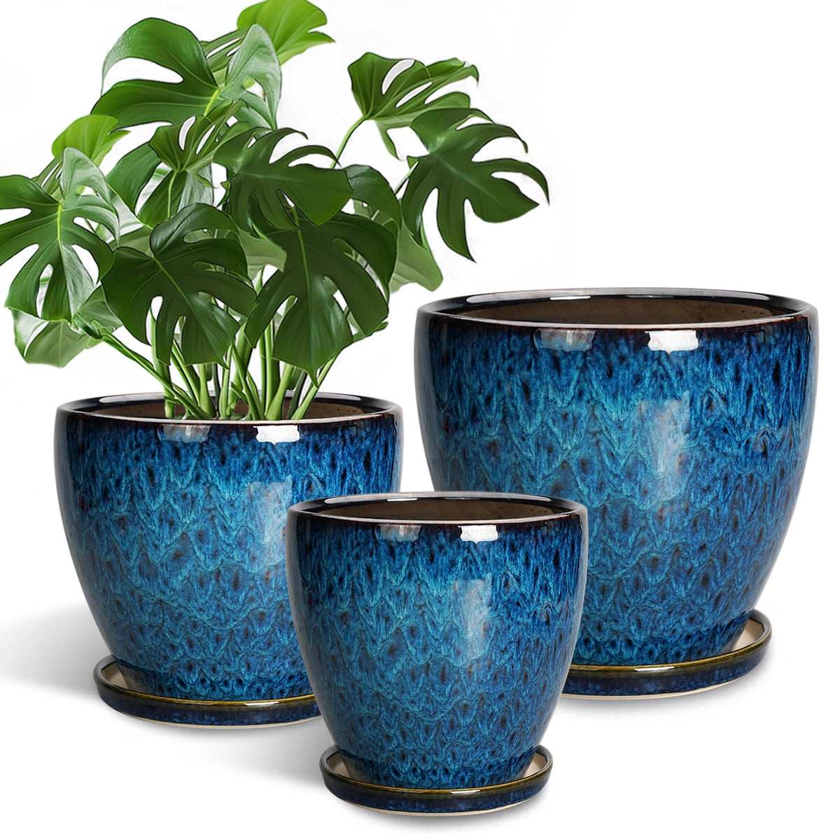 EPFamily 10-inch round blue ceramic planter with drainage holes for healthy indoor plants.