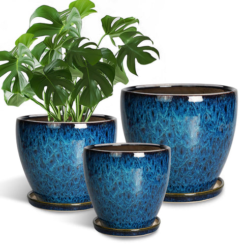 EPFamily 10-inch round blue ceramic planter with drainage holes for healthy indoor plants.